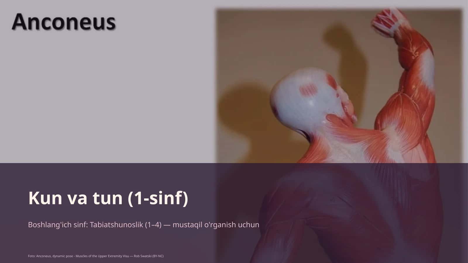 Kun va tun (1-sinf) 1