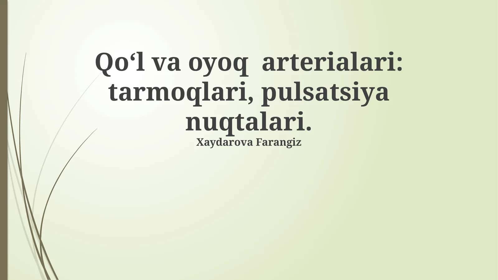 Qo'l va oyoq arterialari: tarmoqlari, pulsatsiya nuqtalari 1
