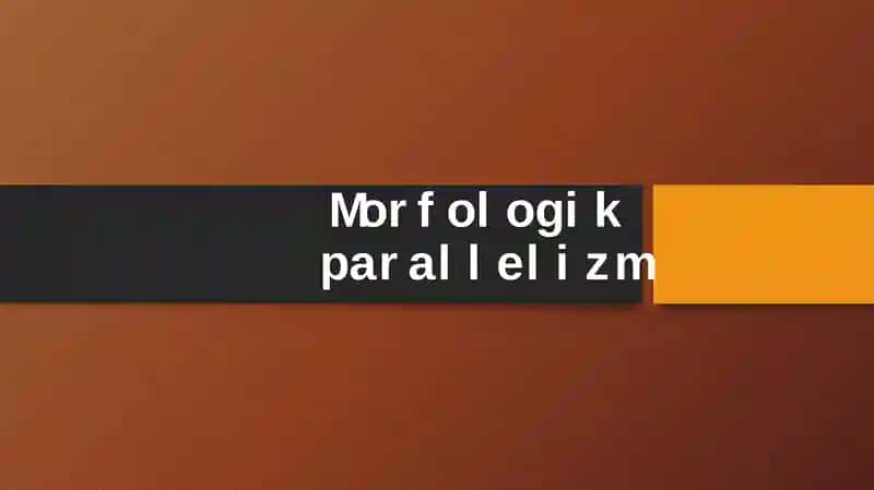 Morfologikparallelizm 1