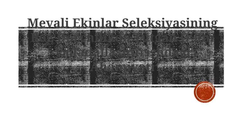 Mevali Ekinlar Seleksiyasining BogʻDorchilikda Tutgan OʻRni Va Jadallashtirishdagi Ahamiyati 1
