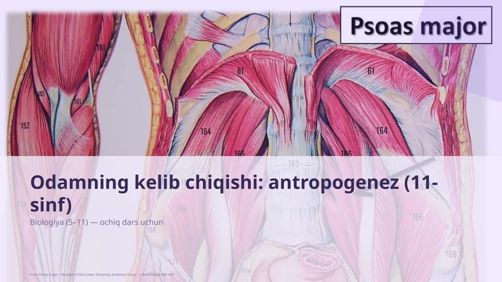 Biologiya (5–11) — ochiq dars uchun 1