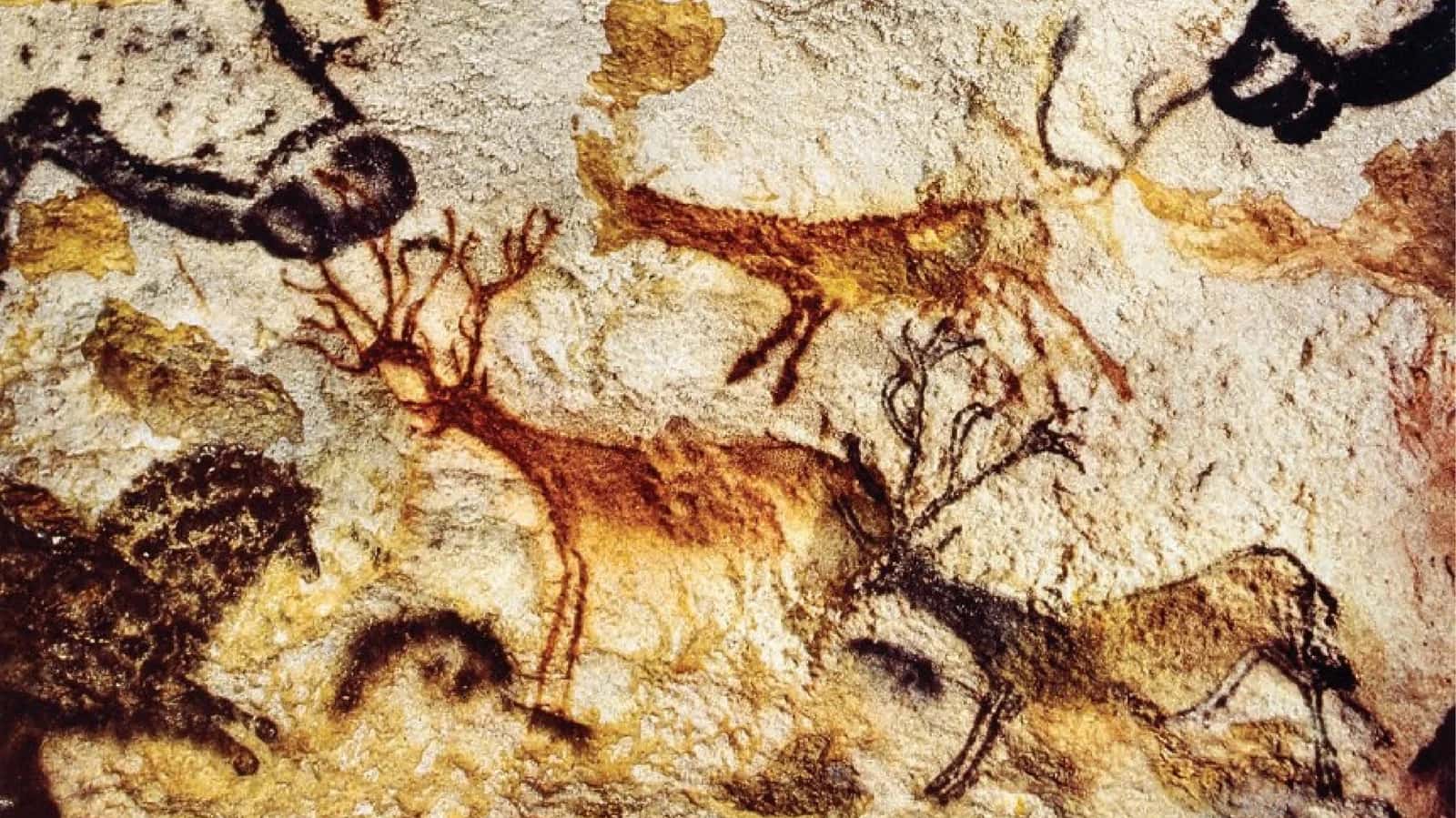 Homo sapiensEVOLYUTSIYASI 1
