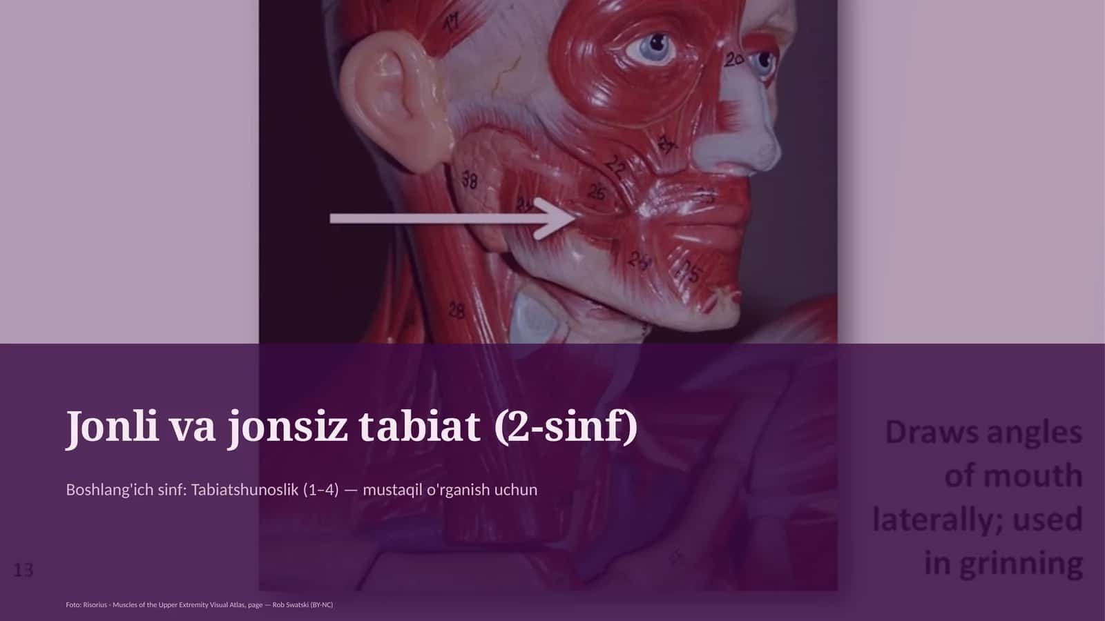 Jonli va jonsiz tabiat (2-sinf) 1