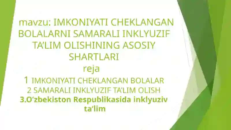 IMKONIYATI CHEKLANGAN BOLALARNI SAMARALI INKLYUZIF TA’LIM OLISHINING ASOSIY SHARTLARI