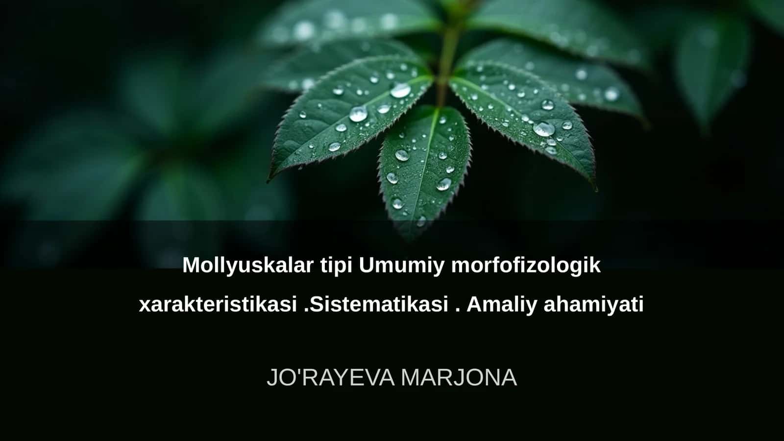 Mollyuskalar tipi Umumiy morfofizologik xarakteristikasi 1
