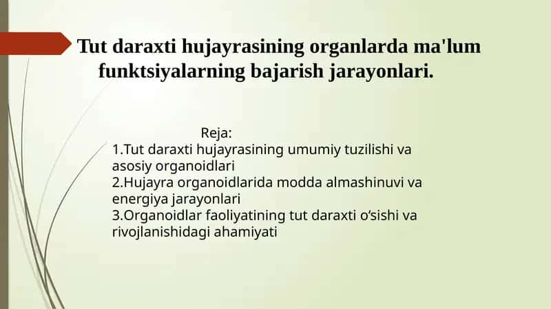 Tut daraxti hujayrasining organlardagi ma'lum funksiyalarning bajarilish jarayonlari 1