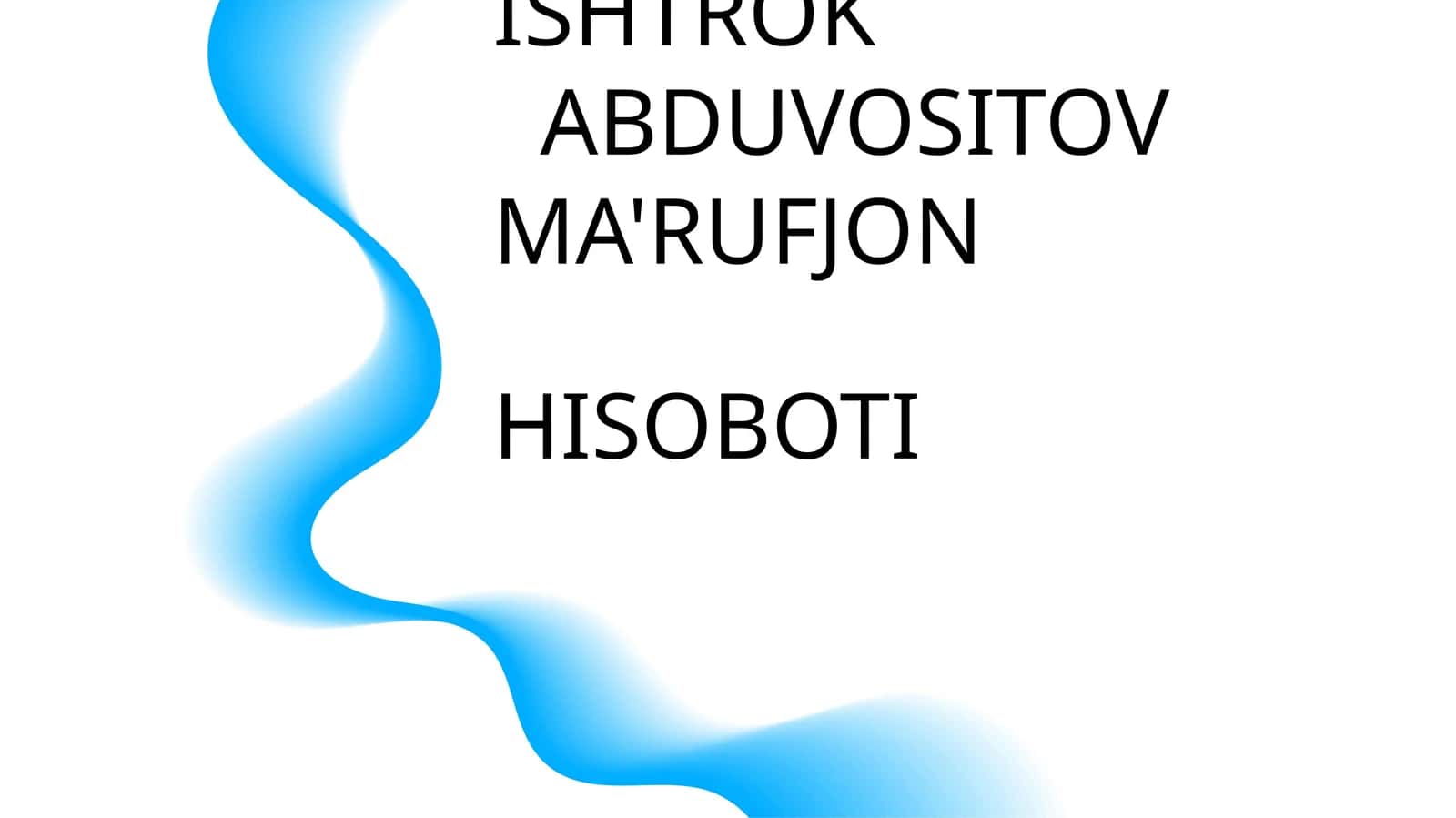 AUDIT ISHLARI BOYICHA AMALYOTI 1
