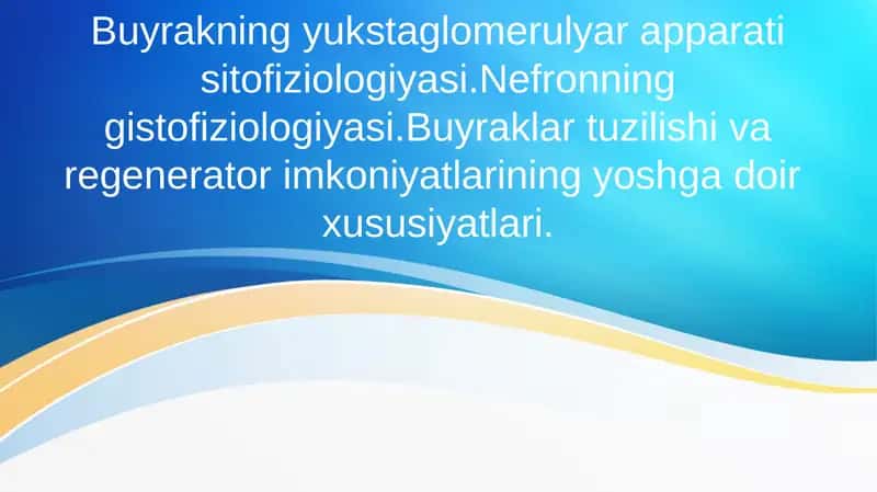 Buyrakning yukstaglomerulyar apparati sitofiziologiyasi. Nefronning gistofiziologiyasi. Buyraklar tuzilishi va regenerator imkoniyatlarining yoshga doir xususiyatlari. 1