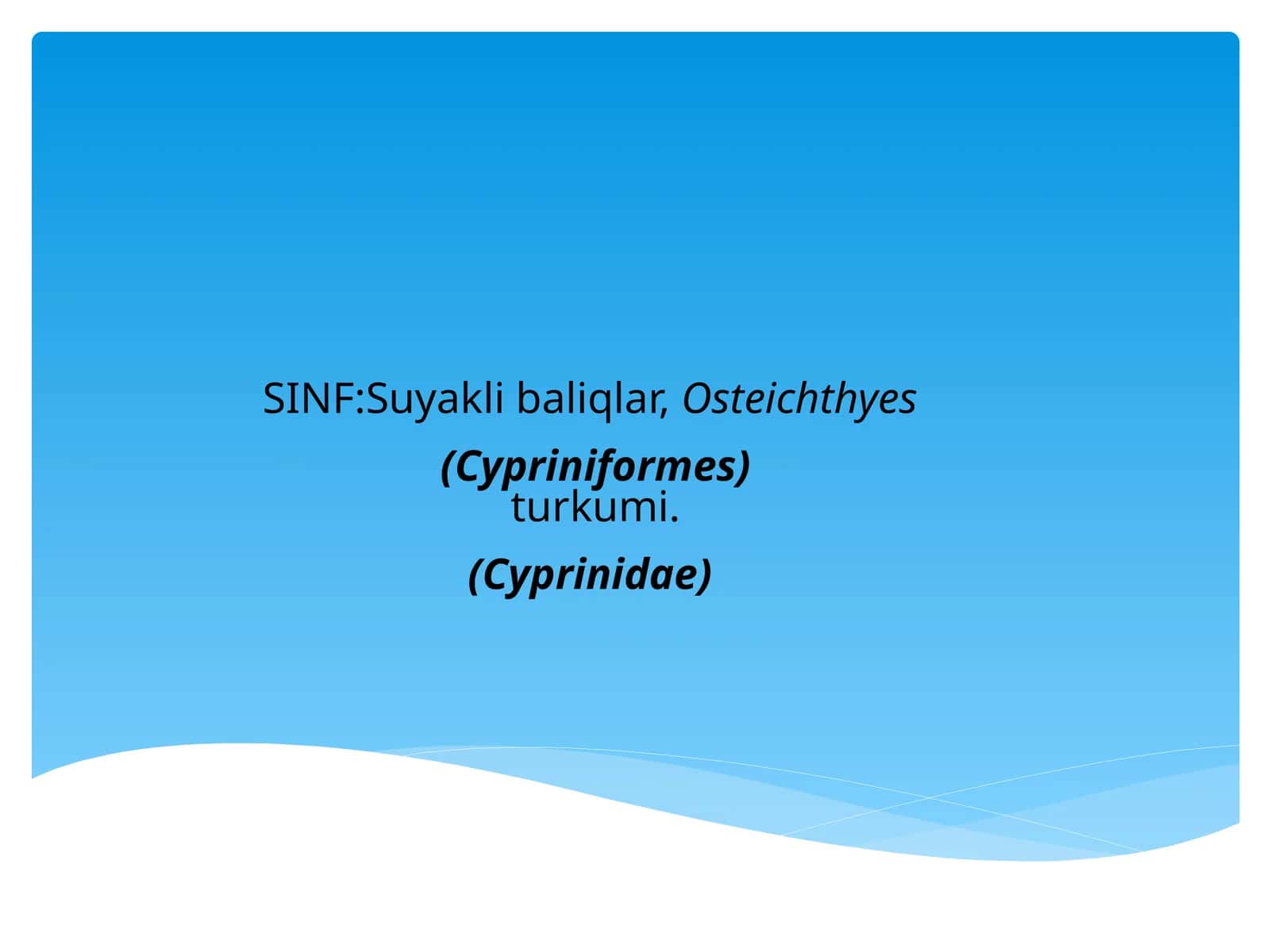 Suyaklibaliqlar 1