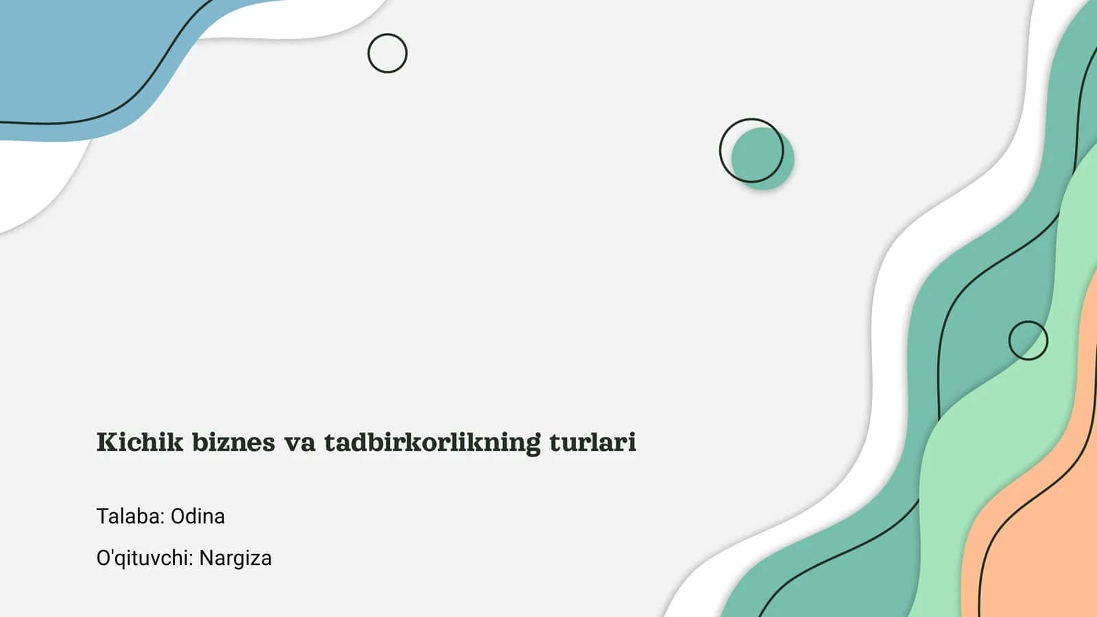 Kichik biznes va tadbirkorlikning turlari 1