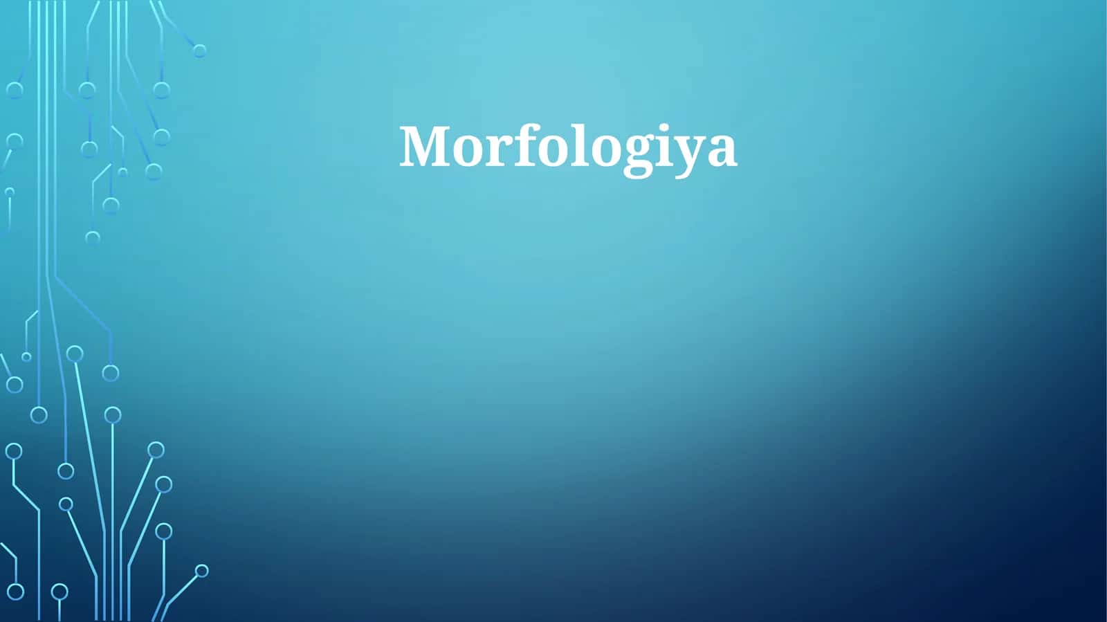 Morfologiya 1