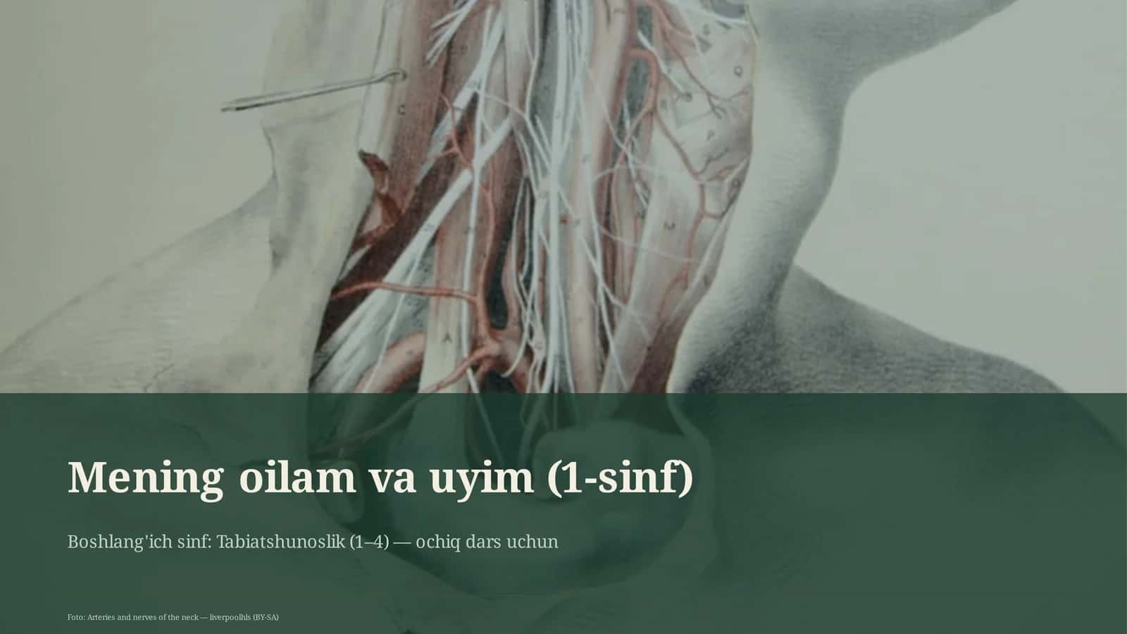 Boshlang'ich sinf: Tabiatshunoslik (1-4) 1