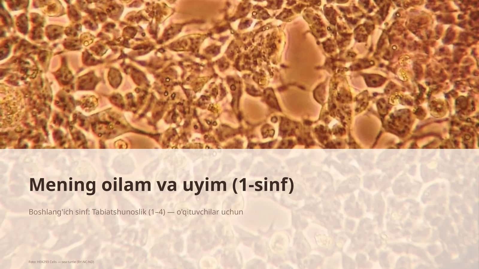 Mening oilam va uyim (1-sinf) 1