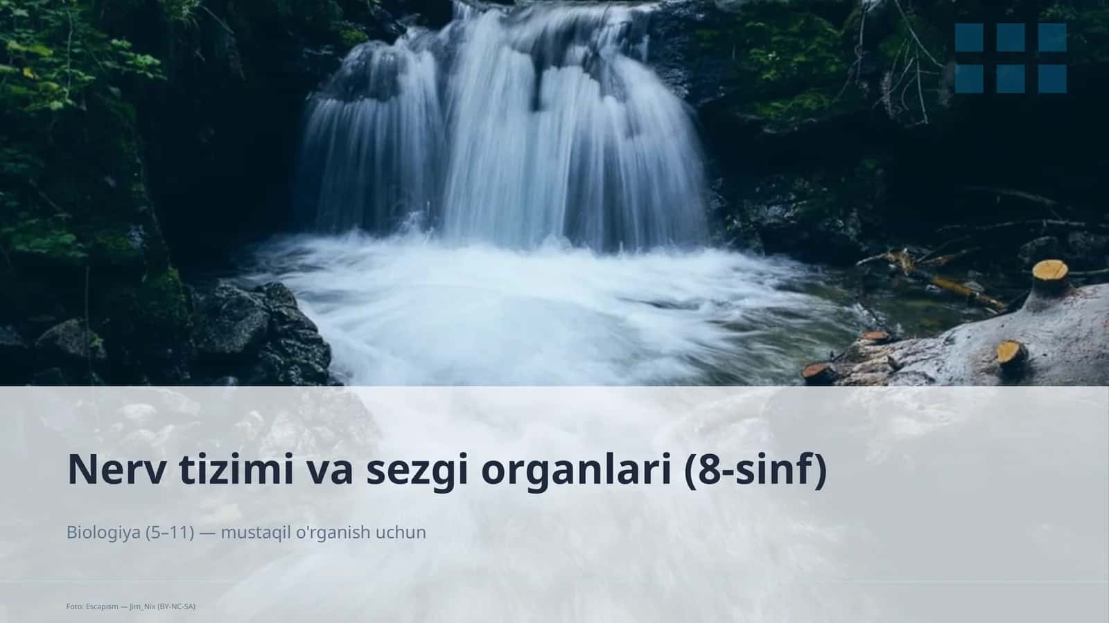 Nerv tizimi va sezgi organlari (8-sinf) 1