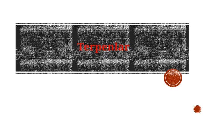 Terpenlar 1