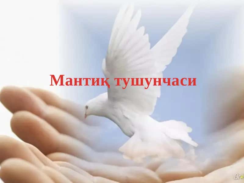 Мантиқ тушунчаси 1