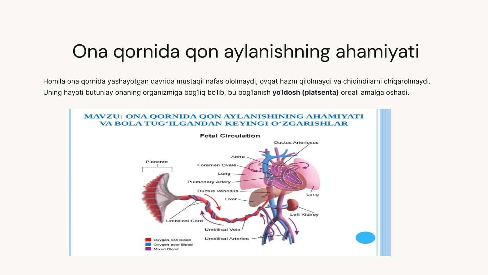 ONA QORNIDA QON AYLANISHINING AHAMIAYTI 1