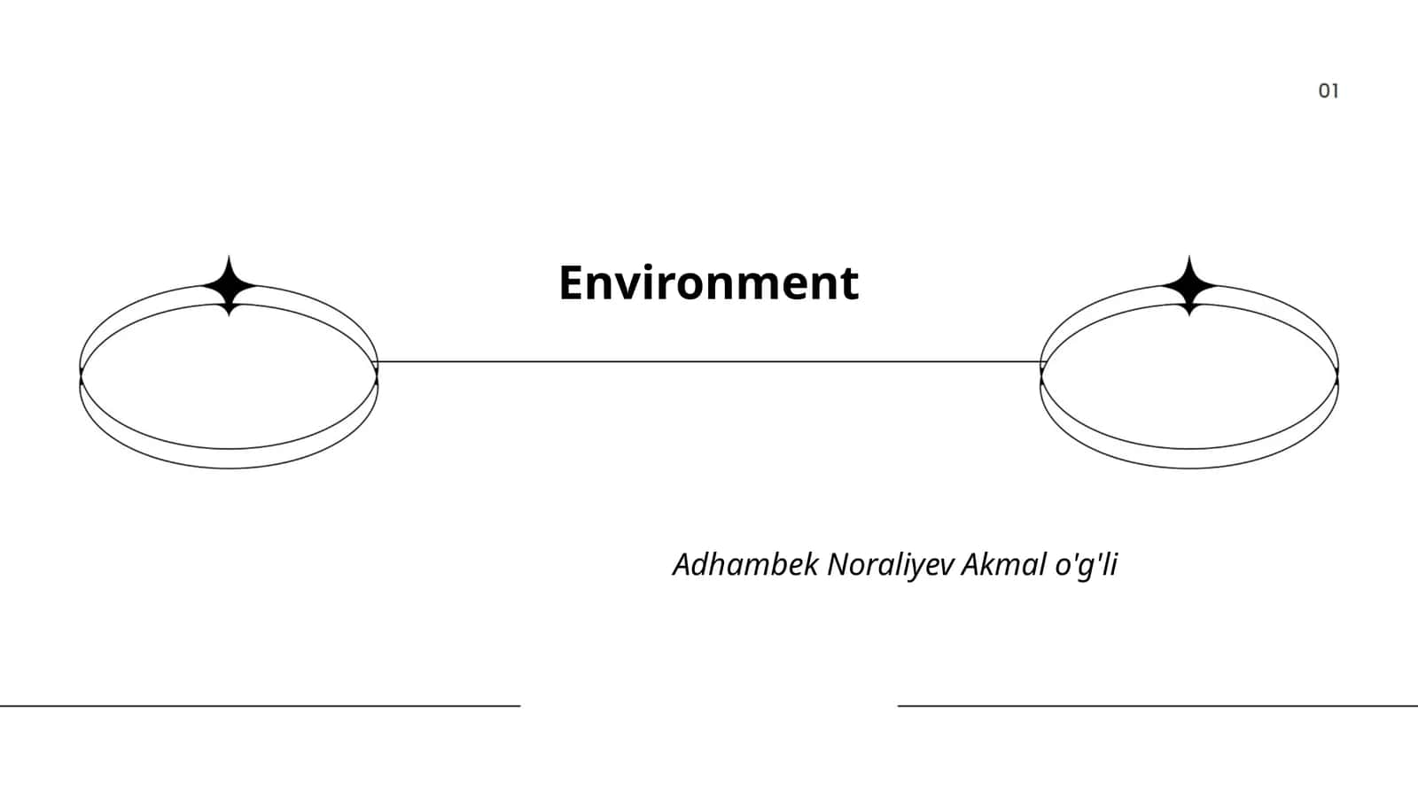 Environment 1
