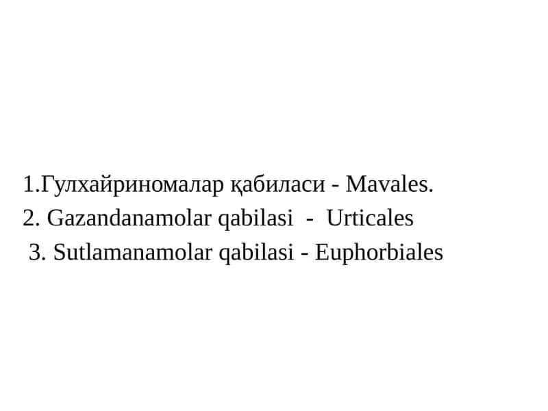 Гулхайринамолар қабиласи - Маvales 1