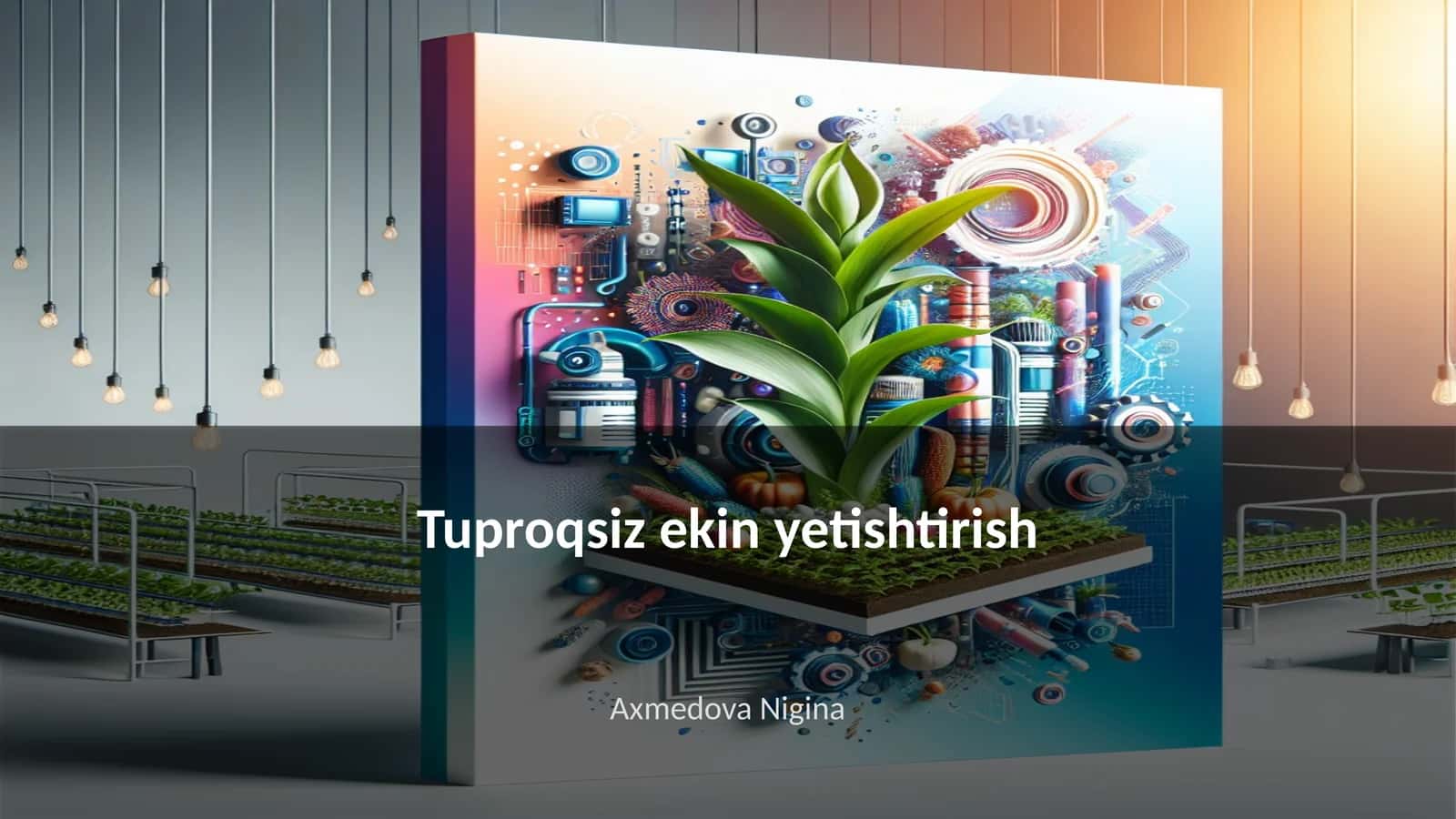Tuproqsiz ekin yetishtirish 1