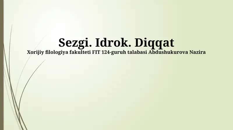 Sezgi 1