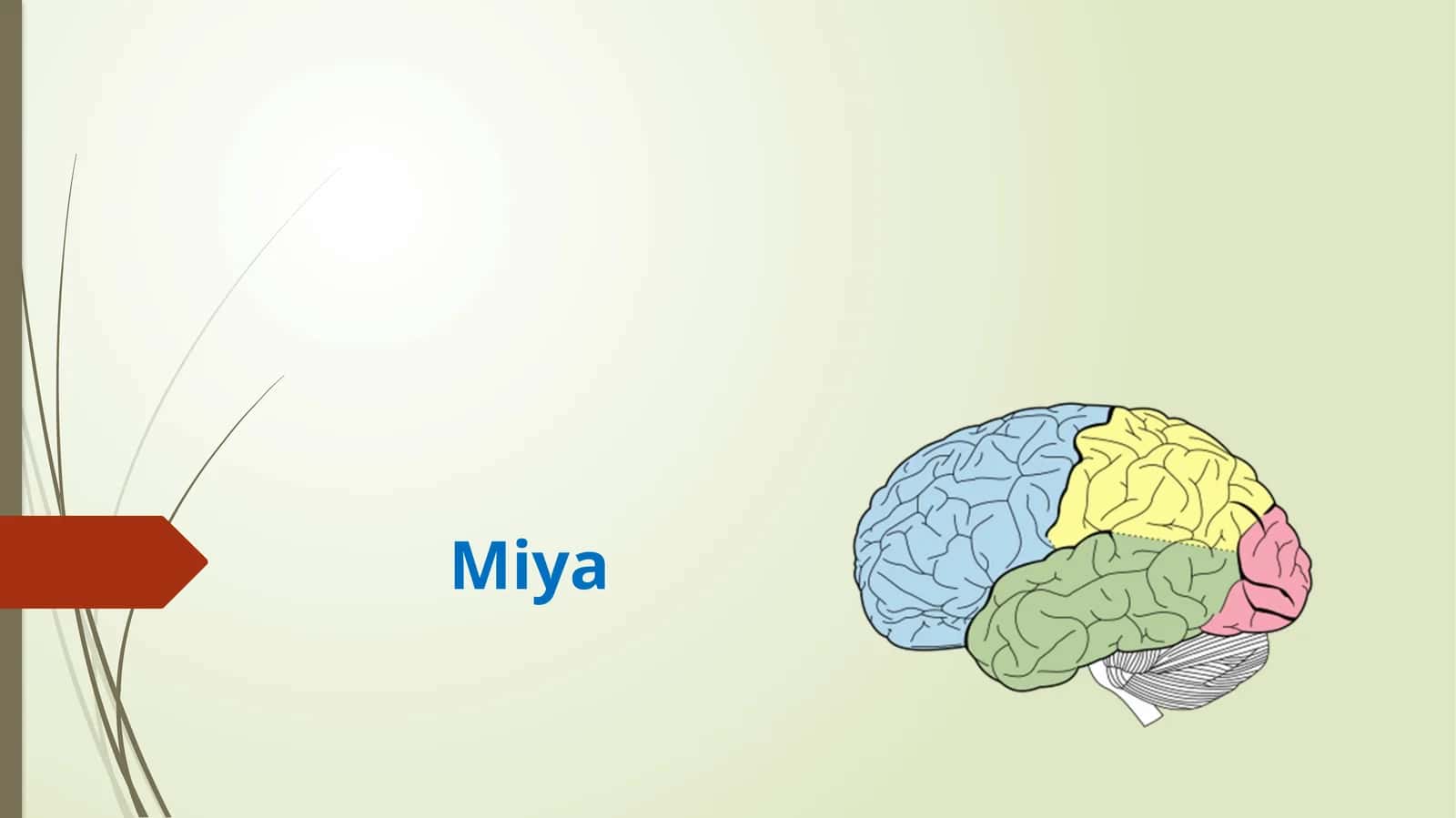 MIYA 1