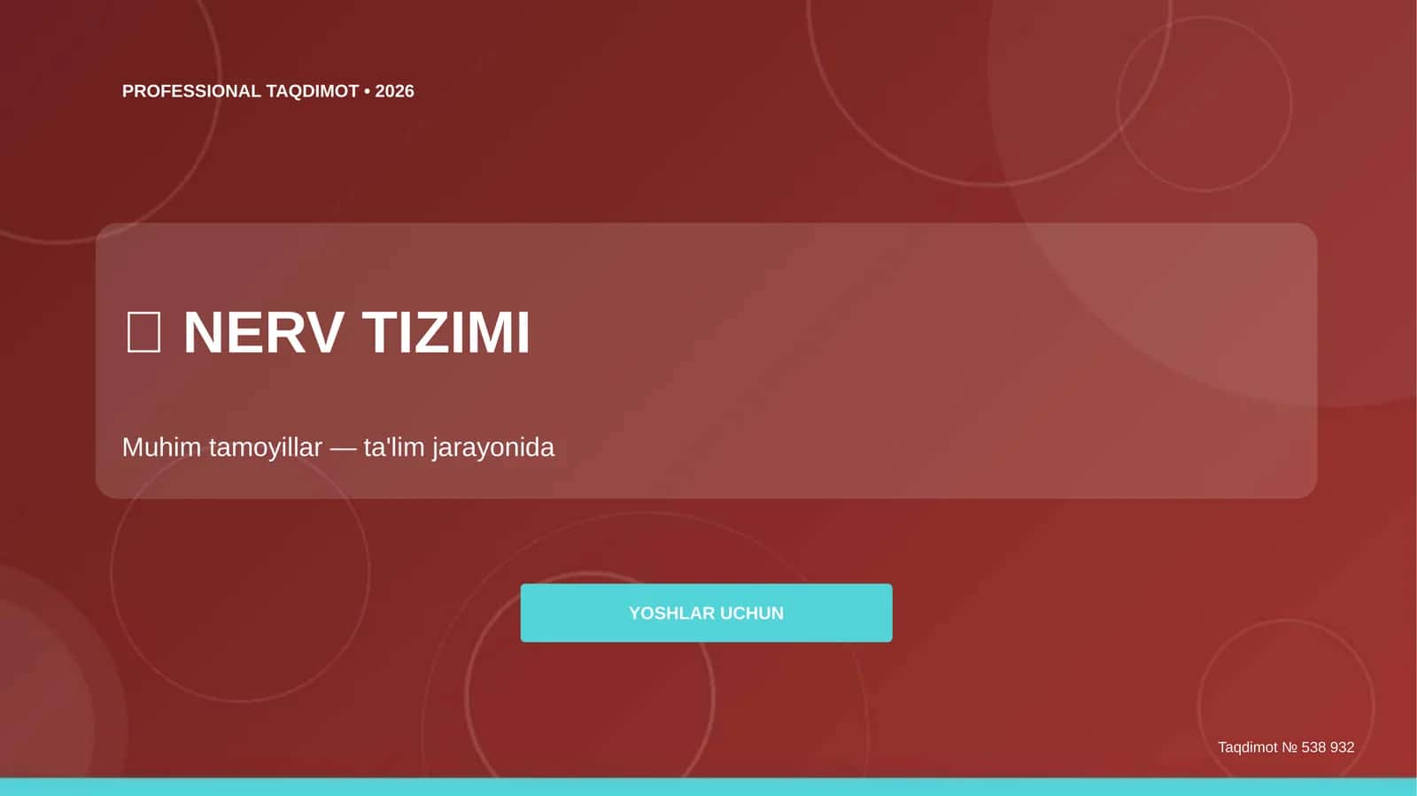 PROFESSIONAL TAQDIMOT • 2026 1