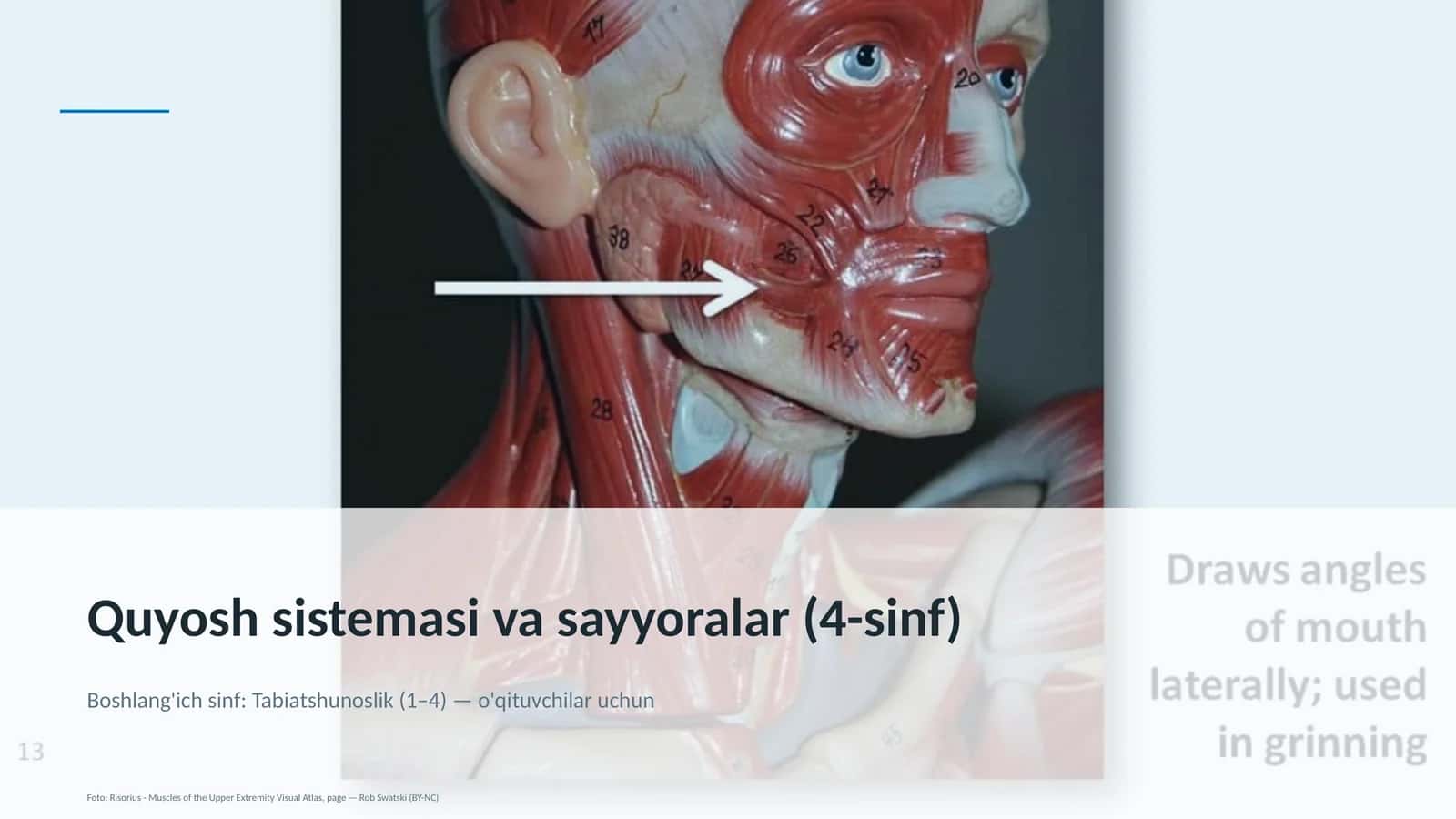 Quyosh sistemasi va sayyoralar (4-sinf) 1