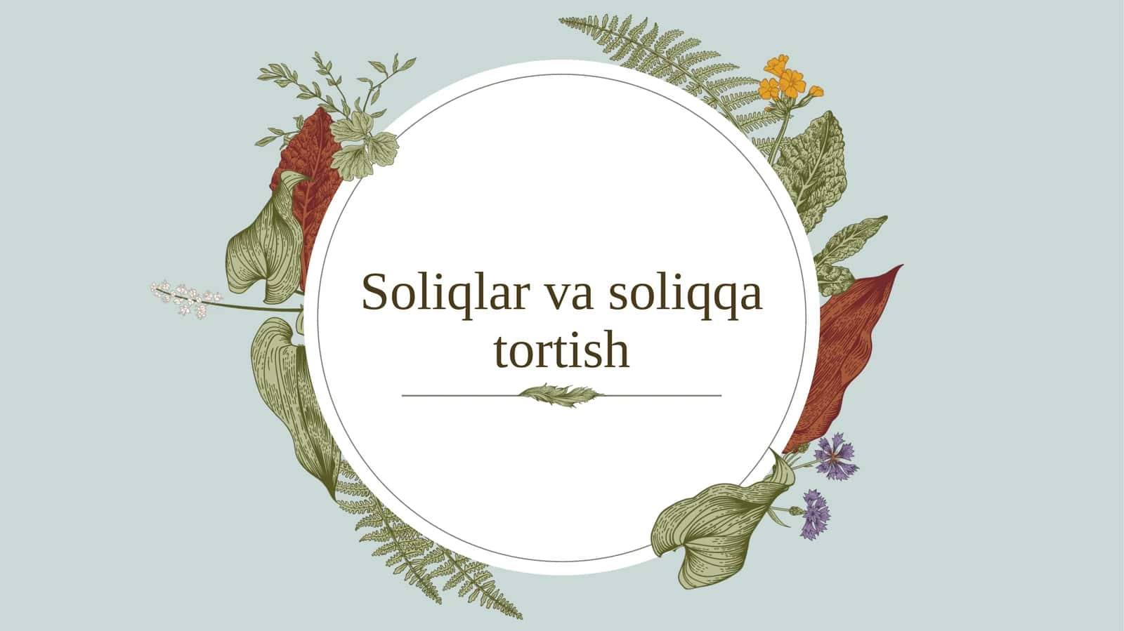 Soliqlar vasoliq qatortish 1