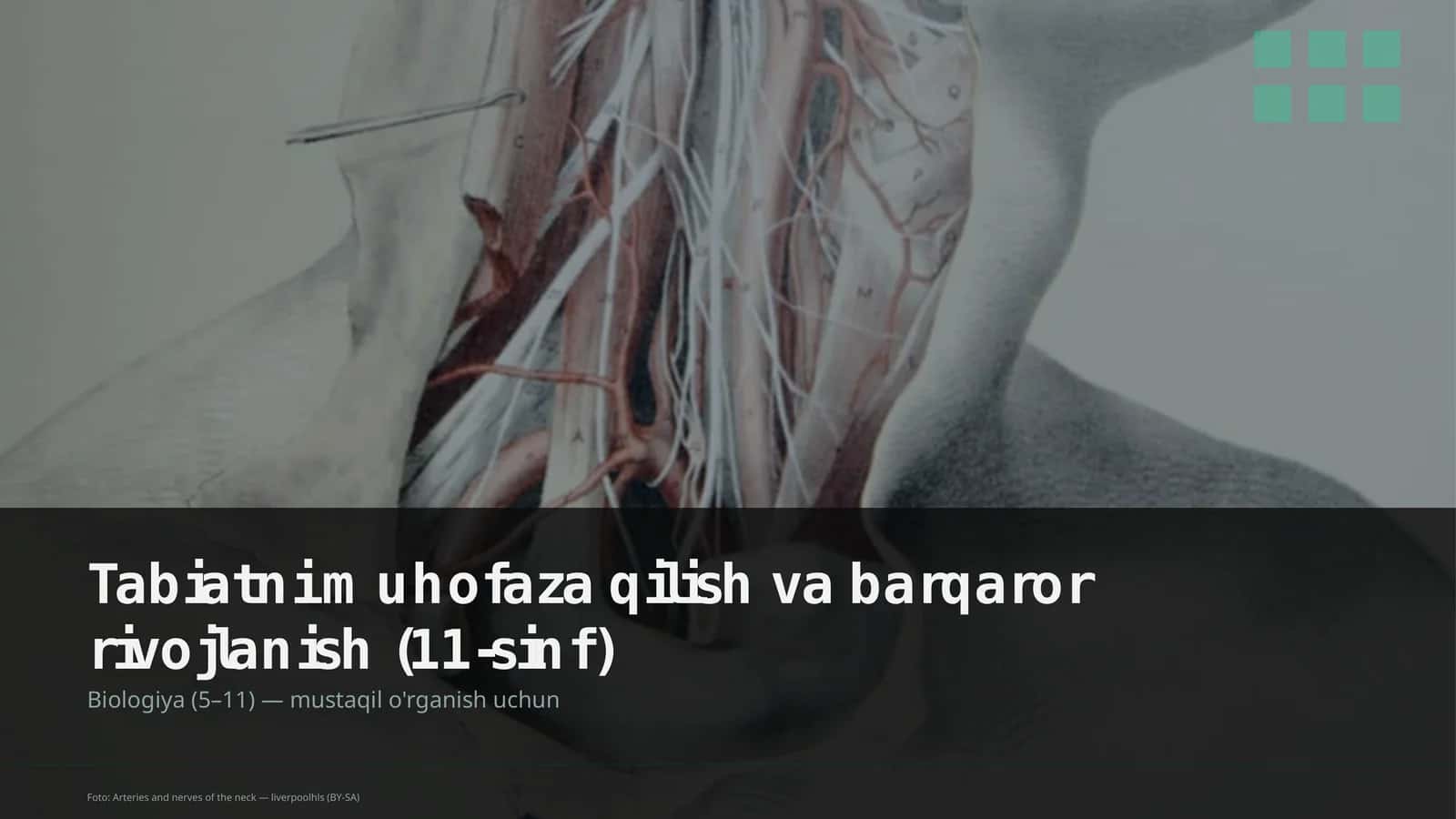 Tabiatni muhofaza qilish va barqaror rivojlanish (11-sinf) 1