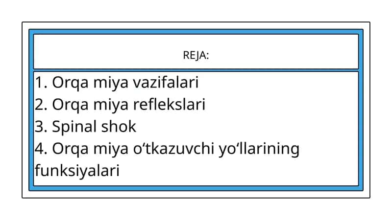Orqa miya va maneviy uslubda oʻrganish jarayoniga ta'siri 1