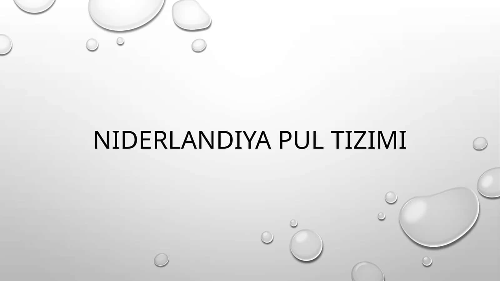 Niderlandiya pul tizimi 1