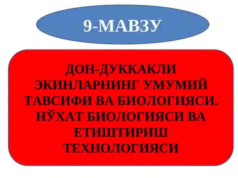 ДОН-ДУККАКЛИ ЭКИНЛАРНИНГ УМУМИЙ ТАВСИФИ ВА БИОЛОГИЯСИ