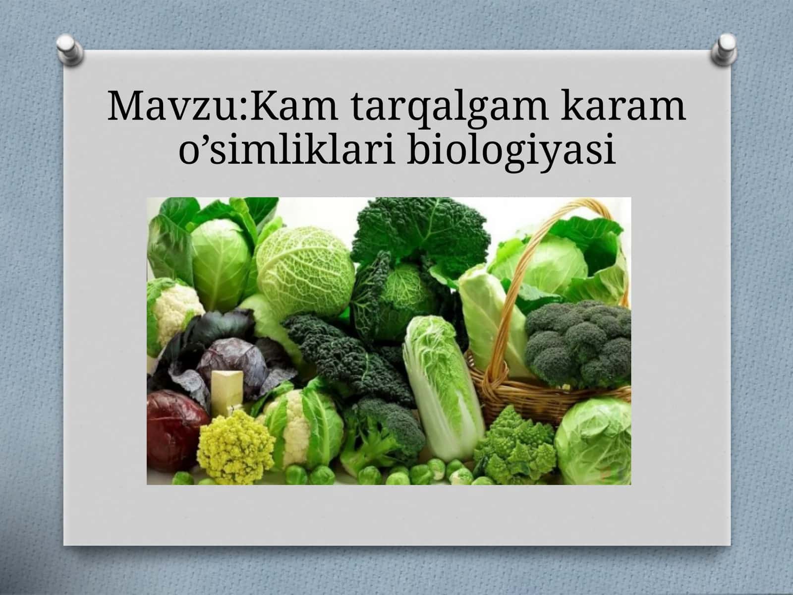 Kamtarqalgam karamo’simliklari biologiyasi 1