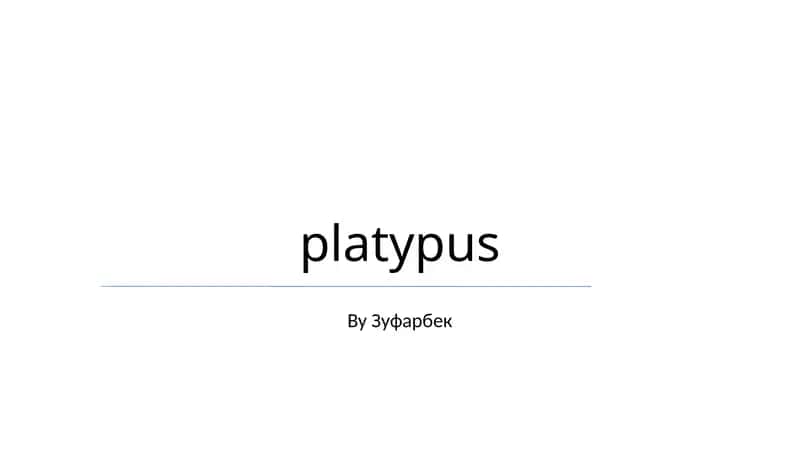 platypus 1
