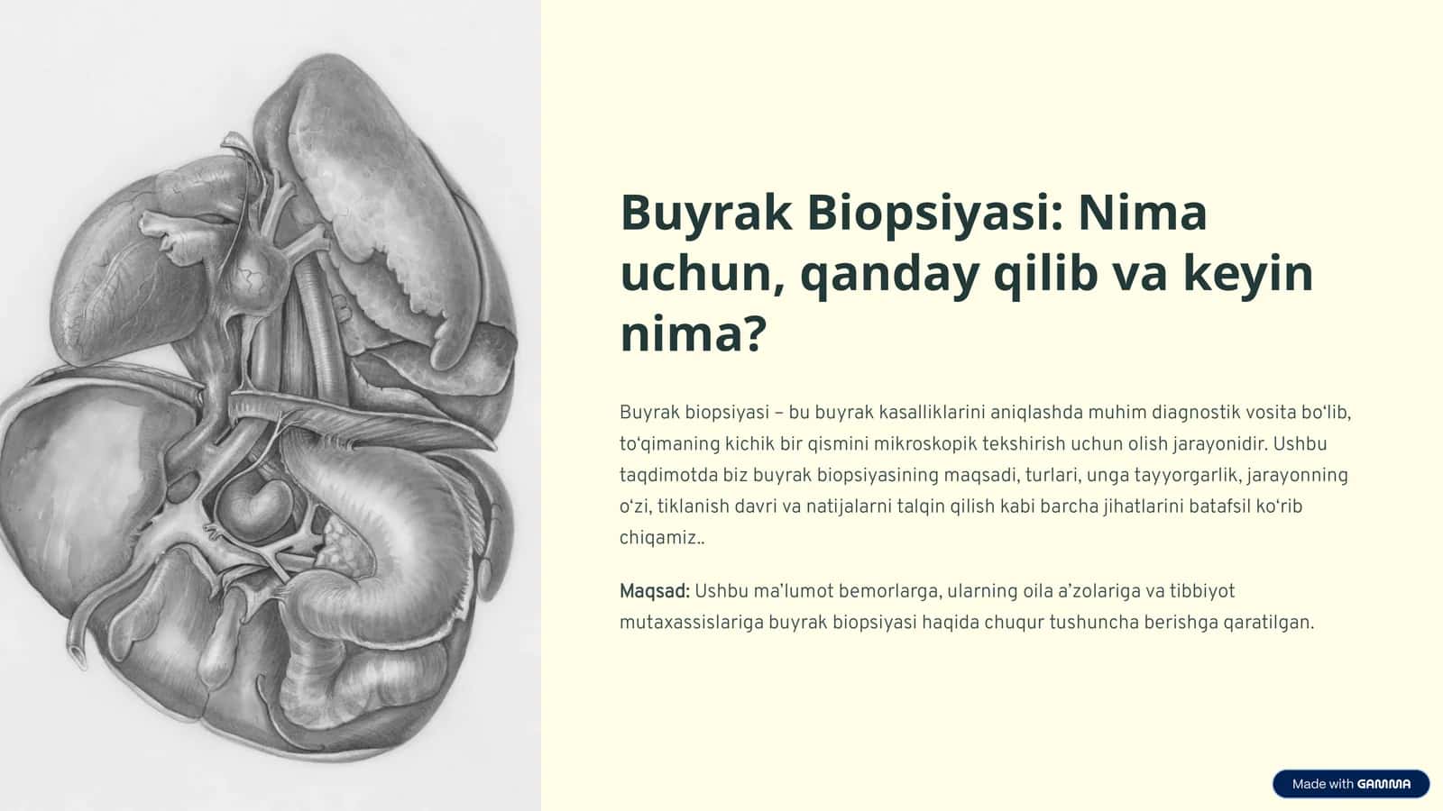 Buyrak Biopsiyasi 1