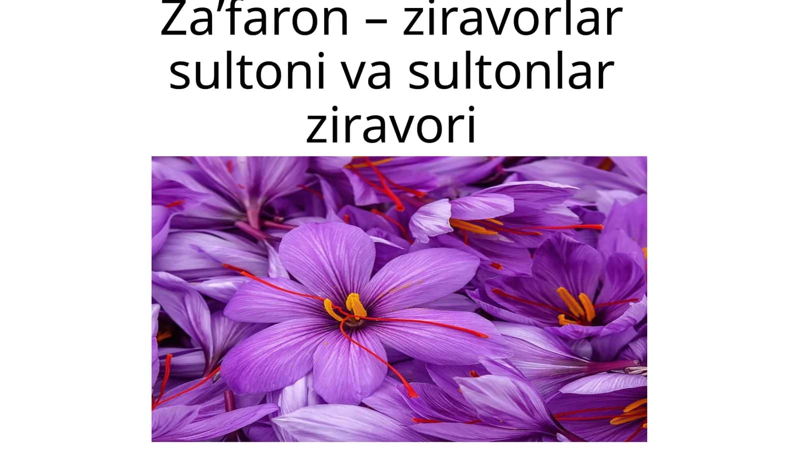 Za'faron 1