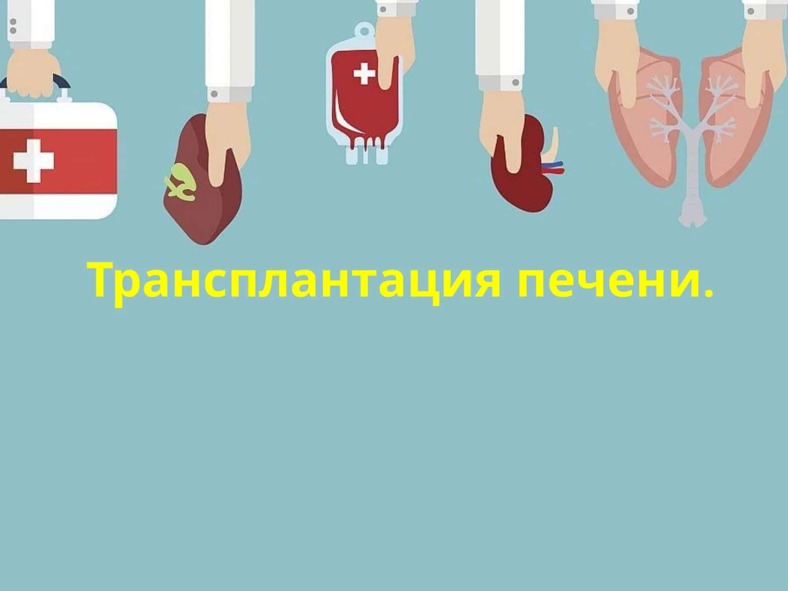 Трансплантация печени 1