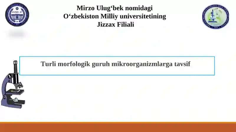 Turli morfologik guruh mikroorganizmlarga tavsif 1