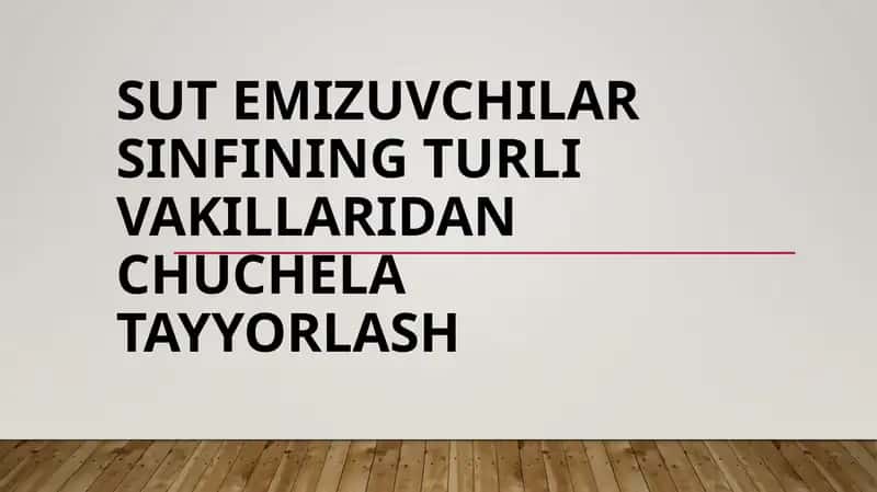 Sut emizuvchilar sinfining turli vakillaridan chuchela tayyorlash 1