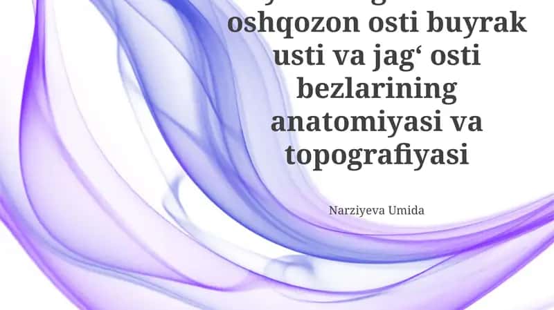 Hayvon organizimida oshqozon osti buyrak usti va jag' osti bezlarining anatomiyasi va topografiyasi 1