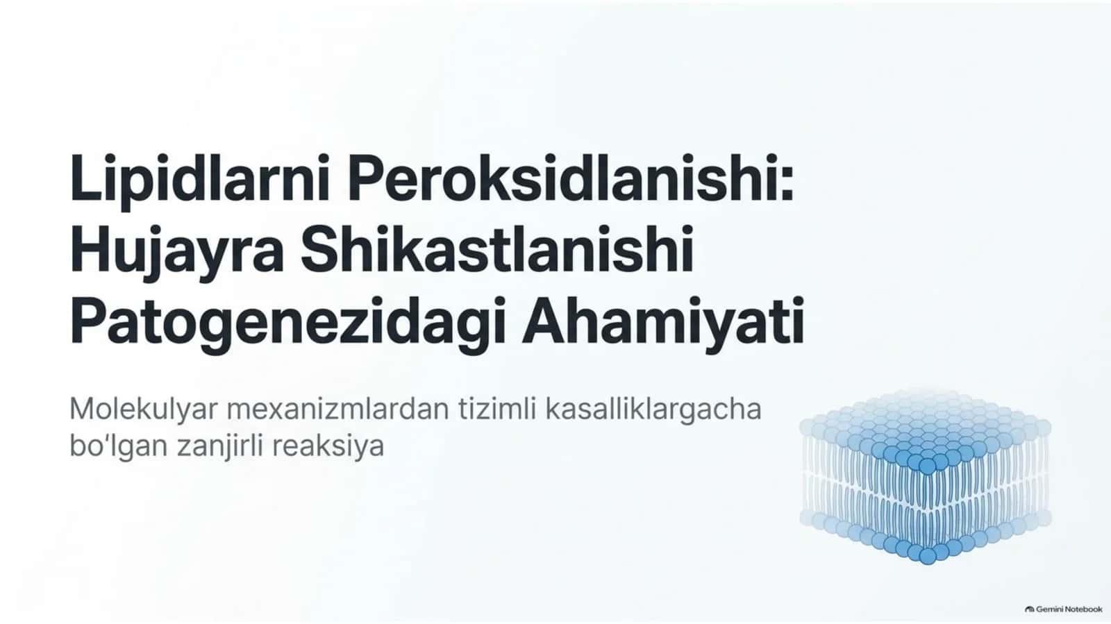 Lipidlarning peroksidlanishi va hujayra shikastlanishi — 15 slayd 1