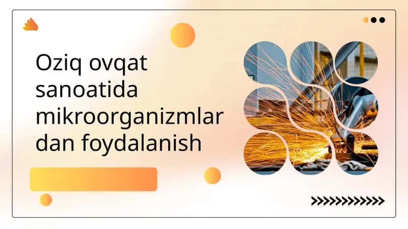 Oziq ovqat sanoatida mikroorganizmlardan foydalanish 1