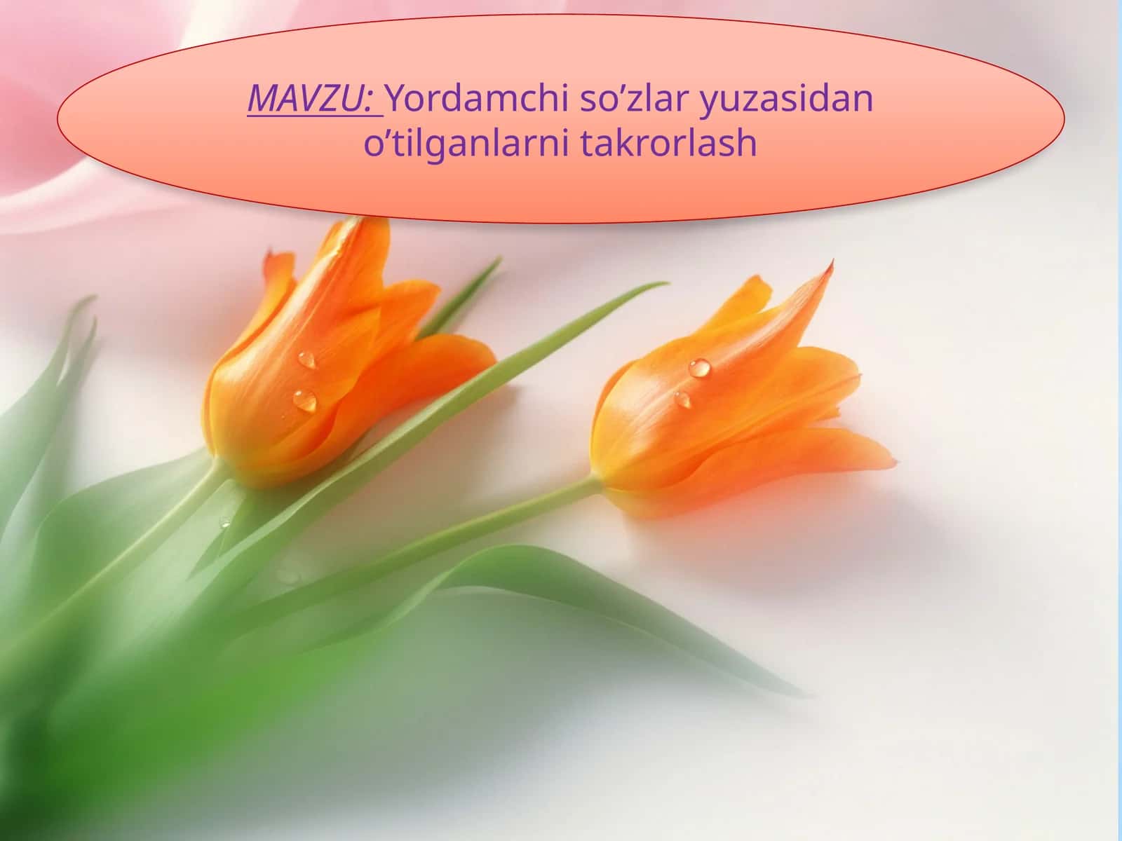 8-sinf Ona tili dars ishlanma. Yordamchi so'zlar yuzasidan o'tilganlarni takrorlash 1