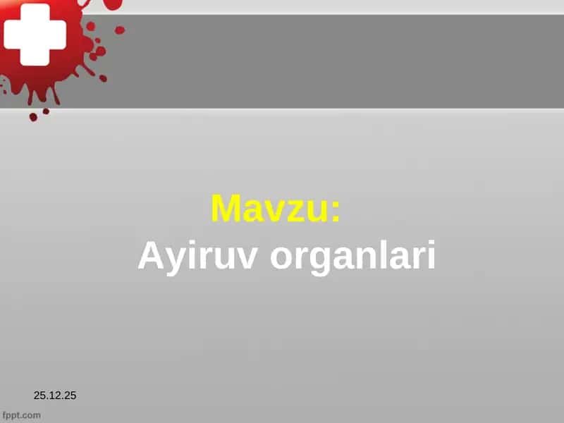Ayiruv organlari 1