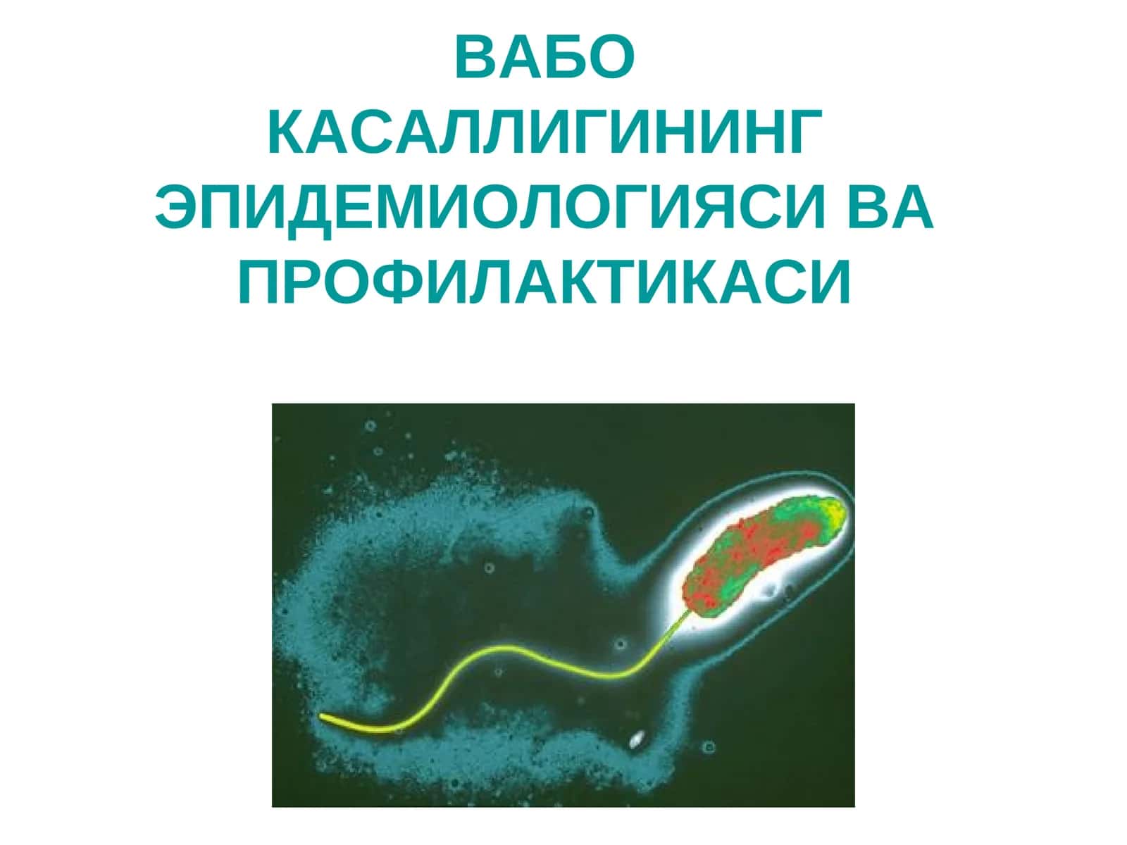 ВАБОКАСАЛЛИГИНИНГ ЭПИДЕМИОЛОГИЯСИ ВА ПРОФИЛАКТИКАСИ 1