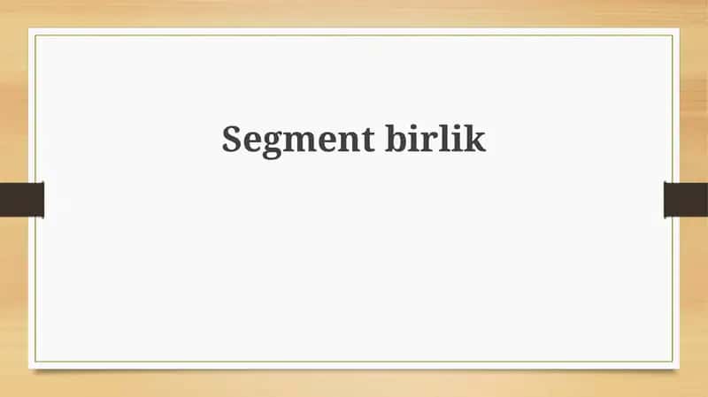 Segment birliklar 1