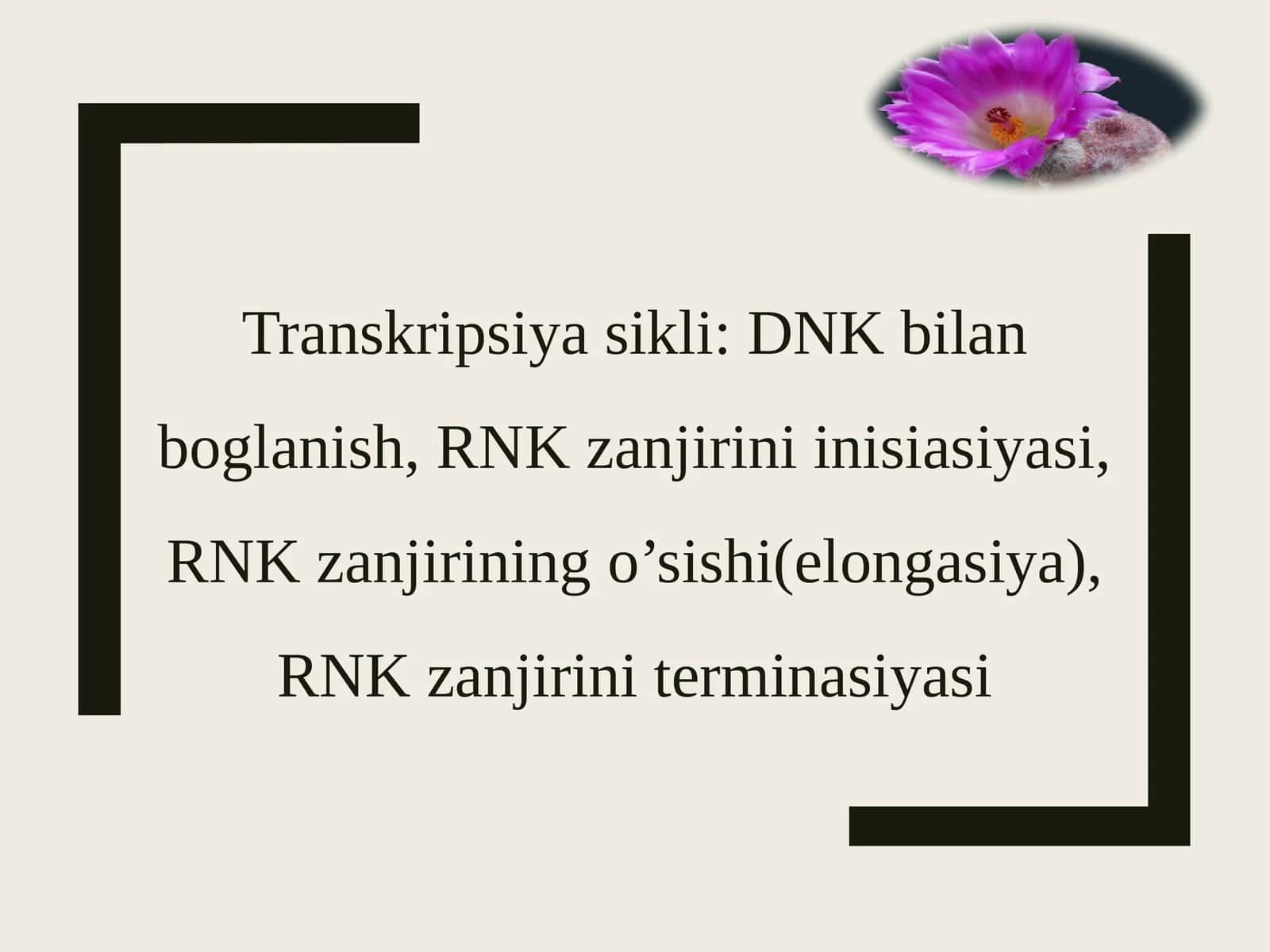 Transkripsiya 1