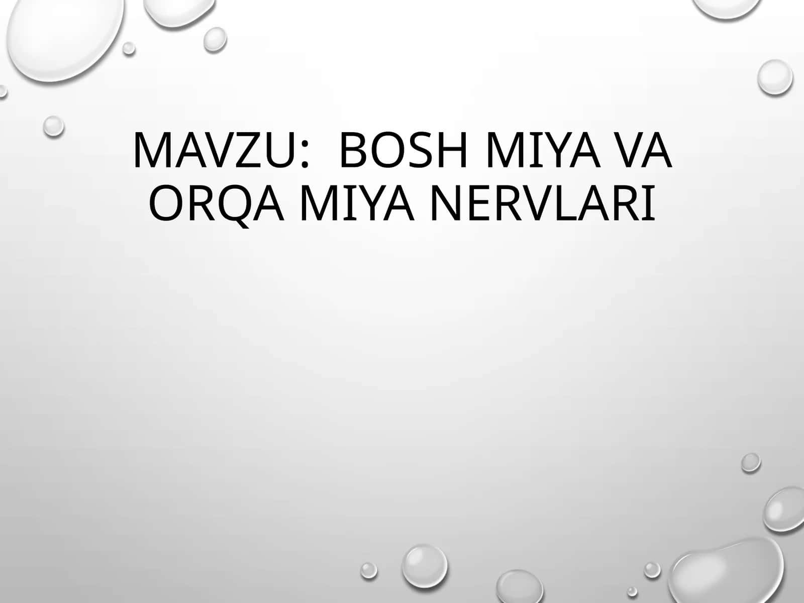 Bosh miya va orqa miya nervlari 1