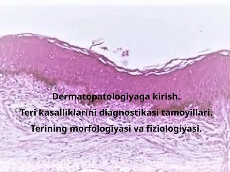 Dermatopatologiyagakirish 1